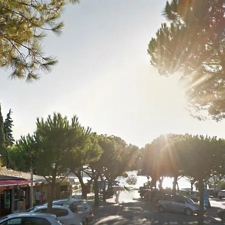 Charmant 2 Pieces Avec Terrasse, Parking Privatif, A 800m De La Plage Et Commerces, - Fr-1-251-783 Apartment Le Lavandou