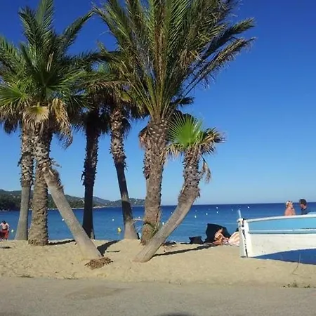 Apartment Charmant 2 Pieces Avec Terrasse, Parking Privatif, A 800m De La Plage Et Commerces, - Fr-1-251-783 *